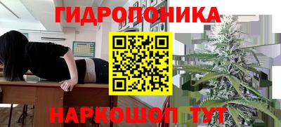 spice Кунгур