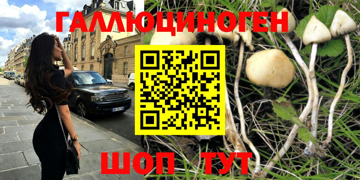 Ижевск  цена   Вход с VPN  Псилоцибиновые грибы Psilocybine cubensis  Галлюциногенные грибы MAGIC MUSHROOMS 